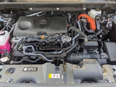 2025 Toyota RAV4 Hybrid LE AWD (Natl)