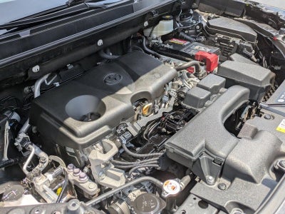 2023 Toyota RAV4 LE AWD (Natl)