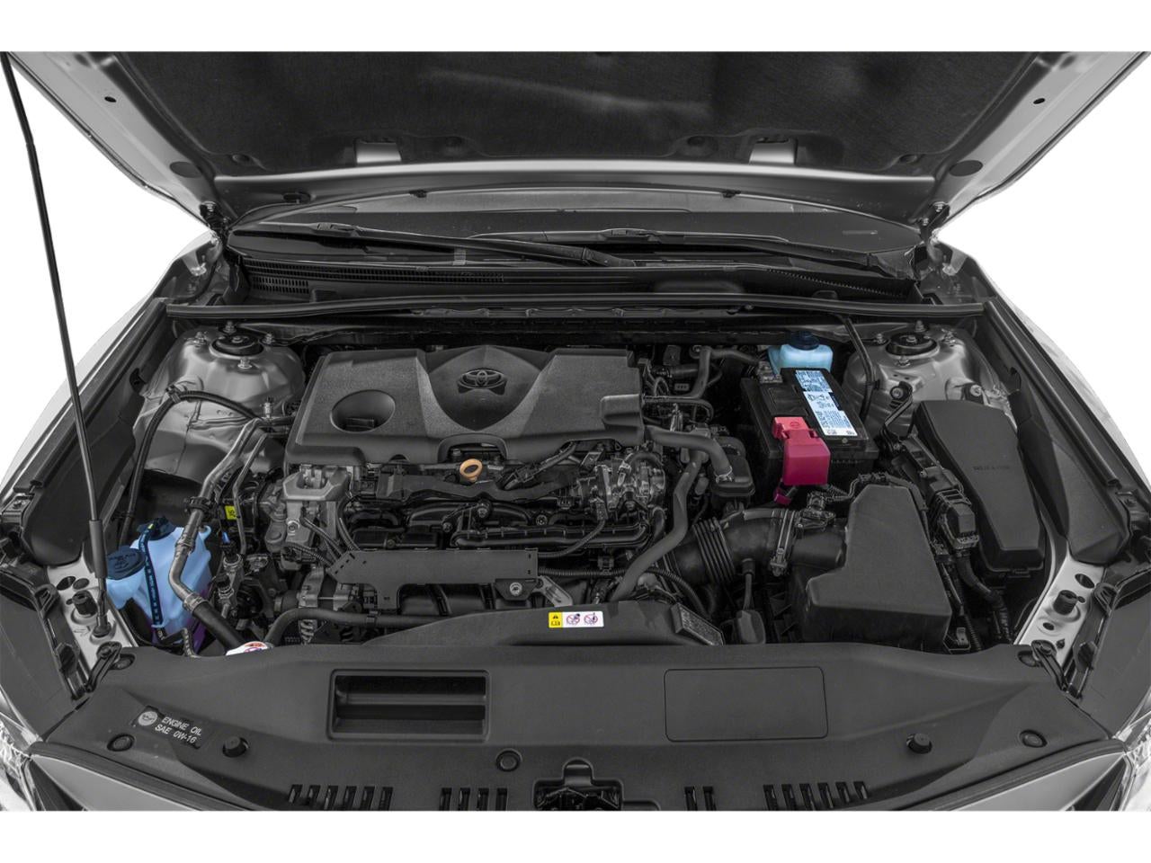 2021 Toyota Camry LE Auto AWD (Natl)