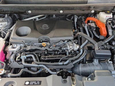 2025 Toyota RAV4 Hybrid LE AWD (Natl)
