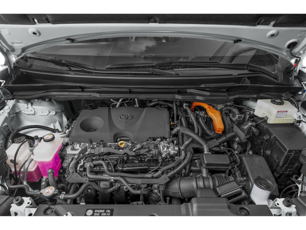 2025 Toyota Sienna Woodland Edition AWD 7-Passenger (Natl)