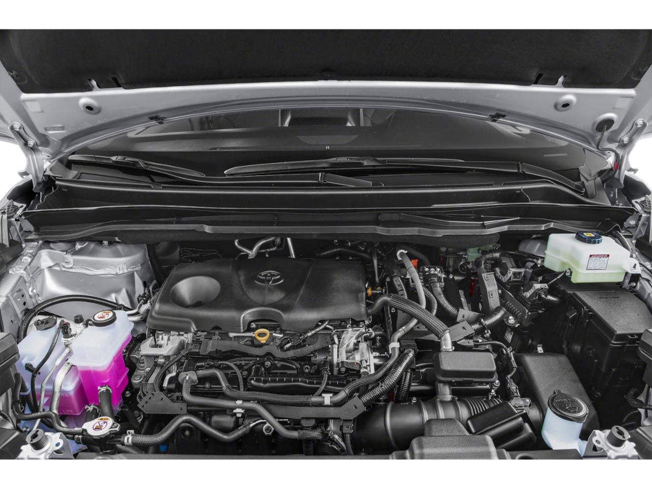 2022 Toyota Sienna XLE FWD 8-Passenger (Natl)