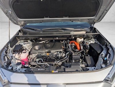 2025 Toyota RAV4 Hybrid LE AWD (Natl)