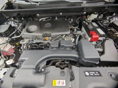2024 Toyota RAV4 XLE AWD (Natl)