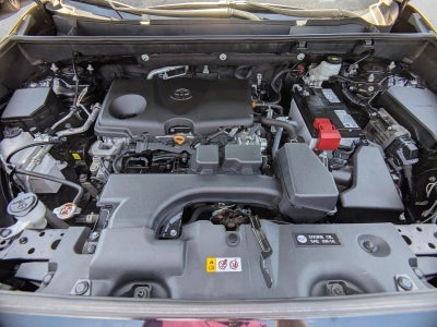 2024 Toyota RAV4 XLE AWD (Natl)