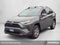 2023 Toyota RAV4 XLE AWD (Natl)