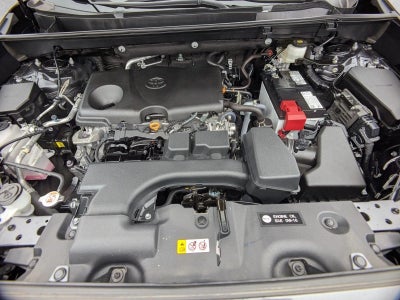 2023 Toyota RAV4 XLE AWD (Natl)