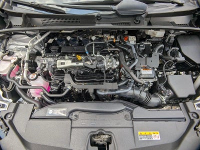2024 Toyota Prius LE (Natl)